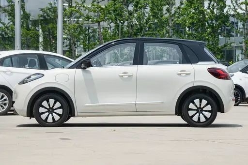 Χρησιμοποιούμενα οχήματα νέας ενέργειας Wuling Bingo Light Coffee Color 333KM Model